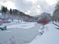winter-elkeringhausen13
